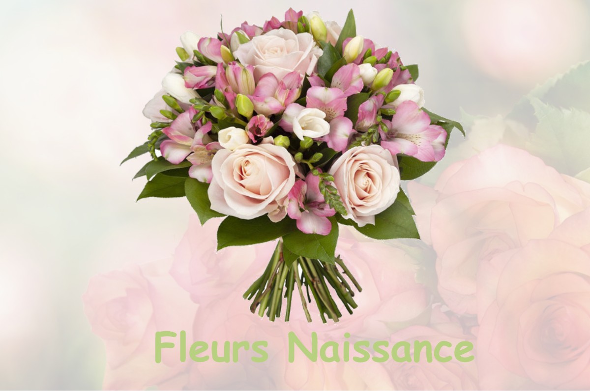 fleurs naissance SANTEAU