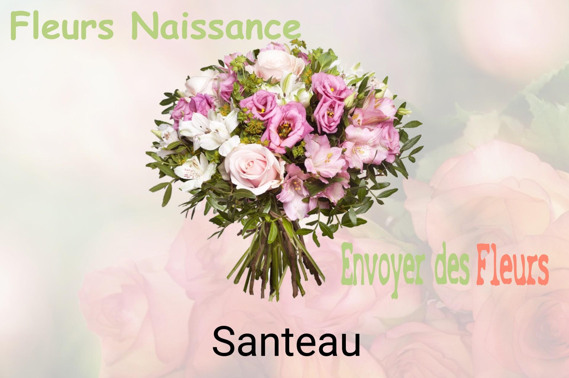 Bouquet de fleurs de naissance livré à Santeau