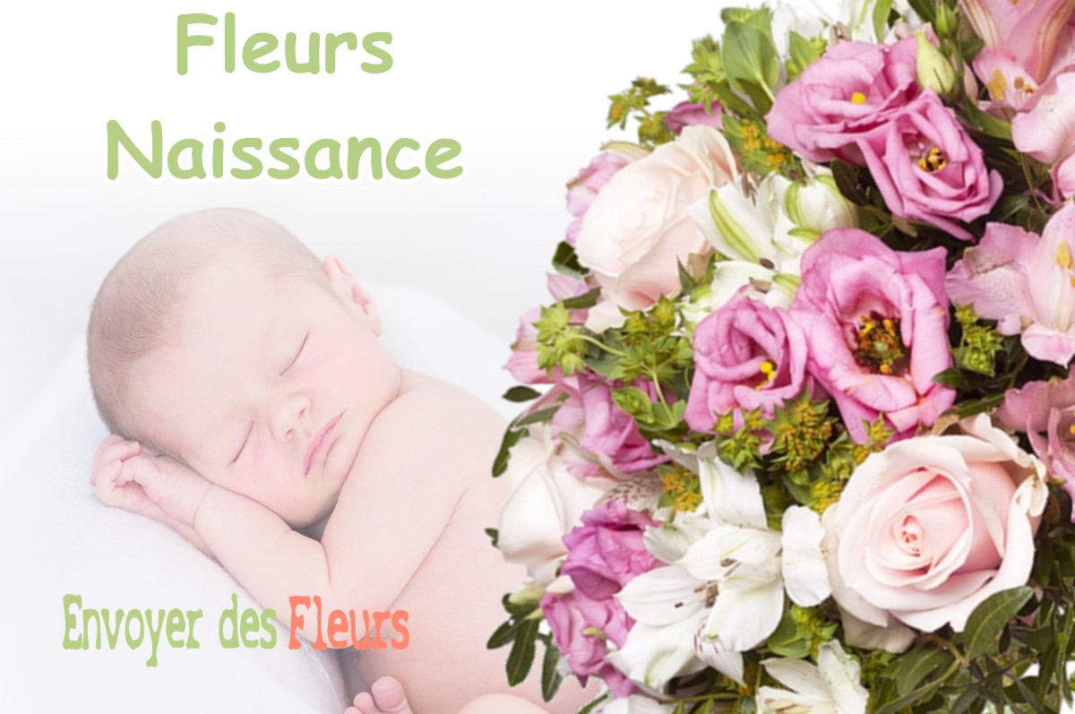 lIVRAISON FLEURS NAISSANCE à SANTEAU