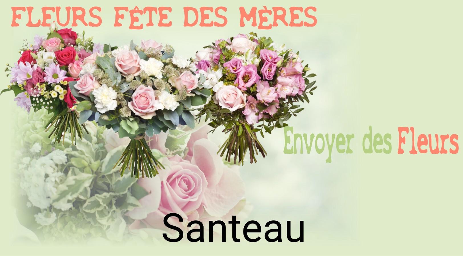 Bouquet de Fête des Mères livré à Santeau